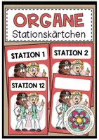 Vorschau - Stationenlernen - DIE ORGANE - Stationskärtchen - Deckblatt