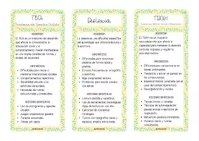 Vista previa - Para docentes: organización, planificación y formación - LLAVERO SOBRE TIPOS DE ACNEAE - página 3