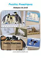 Aperçu - Jeux - Puzzles numériques - Animaux du froid - Bandes colorées - Page de couverture
