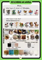 Vista previa - Unidades / Secuencias / Situaciones de Aprendizaje - Describing and Comparing Animals - página 2