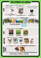 Vista previa - Unidades / Secuencias / Situaciones de Aprendizaje - Describing and Comparing Animals - página 3