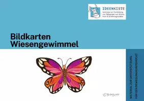 Vorschau - Fördermaterial/Inklusion - Bildkarten „Wiesengewimmel“ - Seite 1