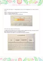anteprima - Materiale di supporto/inclusione - LapQuaderno sui Micenei - Pagina 2