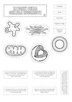 anteprima - Materiale di supporto/inclusione - Dalla cellula ai tessuti - Pagina 3