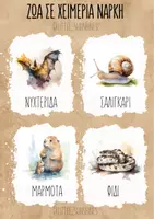 Προεπισκόπηση - Flashcards - ΖΩΑ ΣΕ ΧΕΙΜΕΡΙΑ ΝΑΡΚΗ - Σελίδα 1