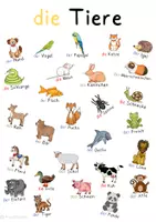 Vorschau - Arbeitsblätter - DaZ Merkposter DinA2 Schule, Tiere, Wetter, Körper, Kleidung, Farben - Seite 1