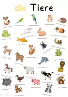 Vorschau - Arbeitsblätter - DaZ Merkposter DinA2 Schule, Tiere, Wetter, Körper, Kleidung, Farben - Seite 2