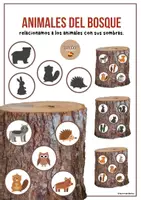 Vista previa - Unidades / Secuencias / Situaciones de Aprendizaje - Animales bosque sombra - Tesoros Brillantes - Portada