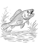 Vorschau - Mal- und Bastelvorlagen - 100 Angel-Ausmalbilder für Kinder 🎣 - Seite 3