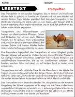 Vorschau - Arbeitsblätter - Trampeltier: Leseverständnis und Kreuzworträtsel mit Lösungen - Seite 1