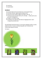 Vorschau - Spiele - Materialpaket Frühlingsblumen - Seite 3