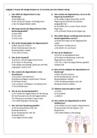 Vorschau - Stundenentwürfe - Einfach Politik: Der Bundestag und der Bundesrat - Seite 2