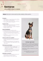 Vista previa - Unidades / Secuencias / Situaciones de Aprendizaje - Guía práctica de trucos caninos: Actividades para enseñar a perros - página 1