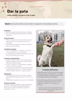 Vista previa - Unidades / Secuencias / Situaciones de Aprendizaje - Guía práctica de trucos caninos: Actividades para enseñar a perros - página 2