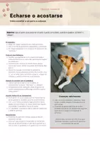 Vista previa - Unidades / Secuencias / Situaciones de Aprendizaje - Guía práctica de trucos caninos: Actividades para enseñar a perros - página 3