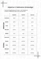 Vorschau - Arbeitsblätter - Grammatiksicherung Dreiendige Adjektive der 3. Deklination - Seite 2