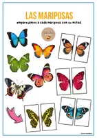 Vista previa - Unidades / Secuencias / Situaciones de Aprendizaje - Las mariposas - Tesoros Brillantes - Portada