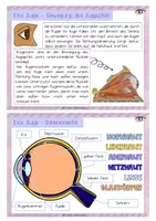 Vorschau - Unterrichtsreihen - Das Auge - Lerntheke mit Lernheft und Versuchen, Stationenlernen, SOL - Seite 3
