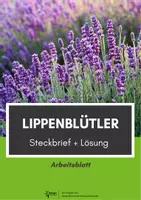 Vorschau - Arbeitsblätter - Lippenblütler Steckbrief - Deckblatt