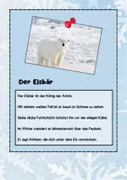 Vorschau - Stationenlernen - Tiere im Winter Lauf- & Schleichdiktate - Seite 3