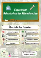 Vorschau - Arbeitsblätter - Experiment Belastbarkeit der Röhrenknochen - Deckblatt