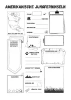 Vorschau - Arbeitsblätter - Amerikanische Jungferninseln Steckbrief - Seite 1