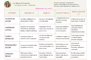 Vista previa - Unidades / Secuencias / Situaciones de Aprendizaje - 4 RÚBRICAS DE EVALUACIÓN SÚPER ÚTILES - página 1
