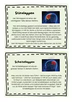 Vorschau - Stundenentwürfe - Materialpaket Nervenwelt - VOLLSTÄNDIG - Seite 1
