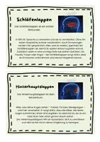 Vorschau - Stundenentwürfe - Materialpaket Nervenwelt - VOLLSTÄNDIG - Seite 2