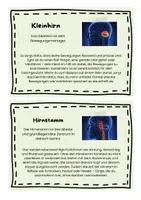 Vorschau - Stundenentwürfe - Materialpaket Nervenwelt - VOLLSTÄNDIG - Seite 3