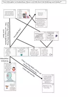 Vorschau - Arbeitsblätter - Mystery: "Vom Schnupfen ins Krankenhaus" - Humanbiologie, Atmung, Atemwege - Seite 2
