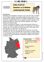 Vorschau - Arbeitsblätter - Informationstexte Bundesländer - Alle, gut übersichtlich - Seite 3