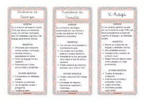 Vista previa - Tarjetas / Manipulativos - LLAVERO SOBRE TIPOS DE ACNEAE II - página 2