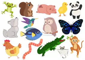 Vista previa - Juegos / Gamificación - PLANTILLA DE SOMBRAS - Animales - página 3