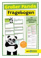 Vorschau - Arbeitsblätter - Großer Panda - 5 Arbeitsblätter - Lückentext, Suchsel, Quiz, Fragebogen, Steckbrief - Materialpaket/Sparpaket - Seite 1