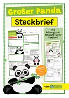 Vorschau - Arbeitsblätter - Großer Panda - Materialpaket / Sparpaket - 18 Wissenskarten und 5 Arbeitsblätter - Seite 1