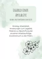 Vorschau - Arbeitsblätter - Legebild einer Apfelblüte - Aufbau und Funktion einer Blüte - Deckblatt
