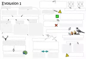 Vorschau - Unterrichtsreihen - EVOLUTION 1: Kluges Merkblatt & Advance Organizer - Seite 2