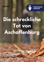 Vorschau - Unterrichtsreihen - Sparpaket: Migration in Deutschland nach Messerattacke von Aschaffenburg - Seite 1