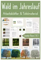 Vorschau - Arbeitsblätter - 7. Stunde: Der Wald im Jahresverlauf (ABs + Tafelmaterial) - Deckblatt