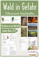 Vorschau - Arbeitsblätter - Tafelmaterial zum Thema Wald - Materialpaket - Seite 1