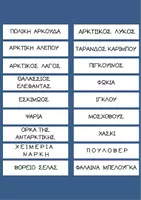 Προεπισκόπηση - Flashcards - Γλωσσικό παιχνίδι για τον Βόρειο και τον Νότιο Πόλο - Σελίδα 3