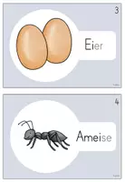 Vorschau - Arbeitsblätter - Schleichdiktat - Wörter mit Ei/ei (1.Klasse) - Seite 2
