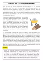 Vorschau - Arbeitsblätter - Technikunterricht Werkstoffe Materialpaket – Holz, Metall, Kunststoff, Glas & Beton - Seite 2