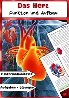 Vorschau - Arbeitsblätter - Das Herz: Aufbau, Funktion und Bedeutung im Kreislaufsystem - Deckblatt