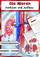 Vorschau - Arbeitsblätter - Die Nieren: Funktionen, Struktur und Filtration Biologieunterricht - Deckblatt