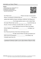 Vorschau - Arbeitsblätter - Arbeitsblätter zum Thema "Pflanze" + Lösung & MP3 + Infografik - Deckblatt