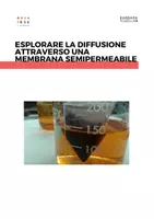 anteprima - Esperimenti - Esplorare la diffusione attraverso una membrana semipermeabile - Pagina di copertina