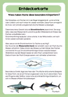 Vorschau - Experimente - NaWi Versuche Fische Körperform Stromlienienform - Seite 2