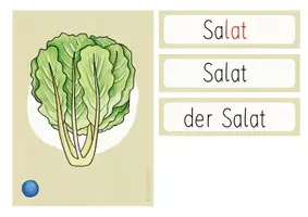 Vorschau - Fördermaterial/Inklusion - Bildkarten - Gemüse (DAZ/DAF) - Seite 2